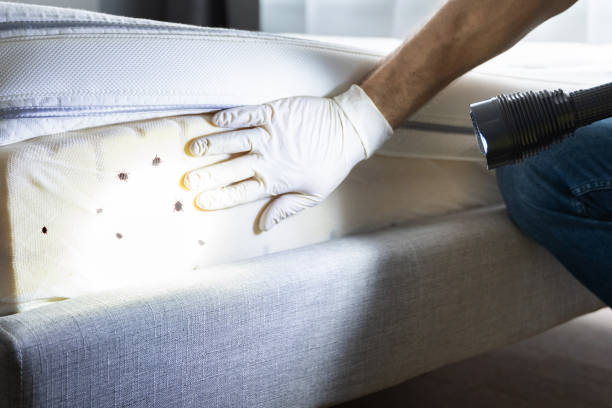 Best Best Pest Control Companies  in Gallatin, MO
