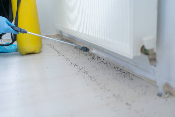 Best Residential Pest Control  in Gallatin, MO