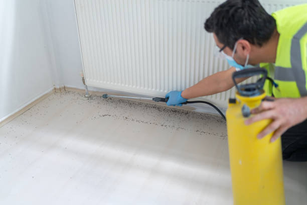 Best Flea Control Services  in Gallatin, MO