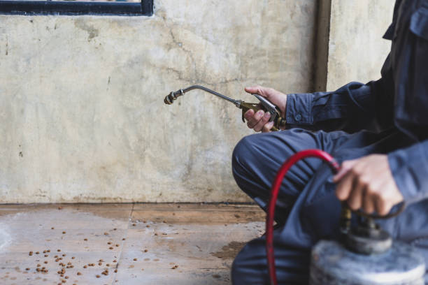 Trusted Gallatin, MO Pest Control Experts