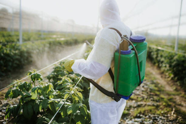 Best Best Pest Control Companies  in Gallatin, MO